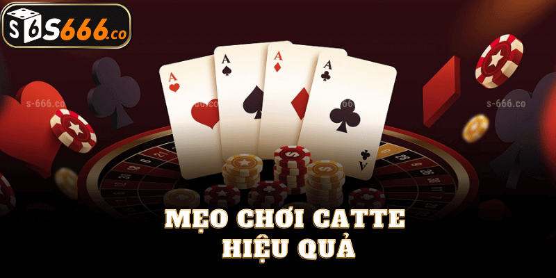 Mẹo Chơi Catte Hiệu Quả