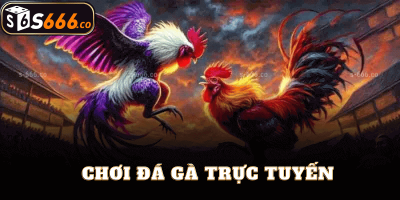 Chơi Đá Gà Trực Tuyến